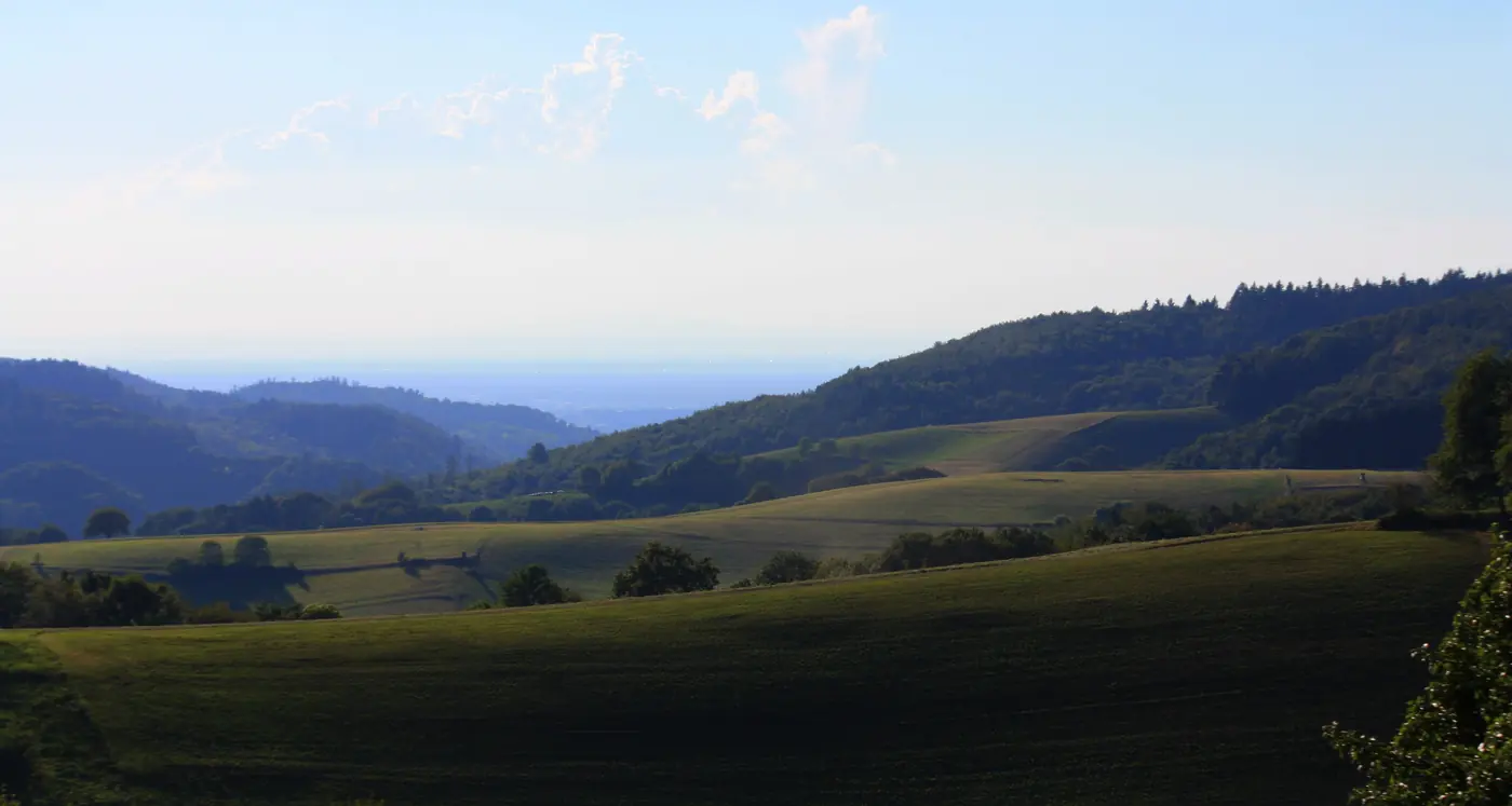 Hügelige Landschaft im Gorxheimertal im Odenwald