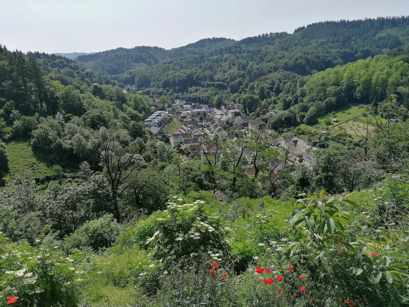 Grünes Grundelbachtal bei Weinheim, gesehen von der Burg Windeck