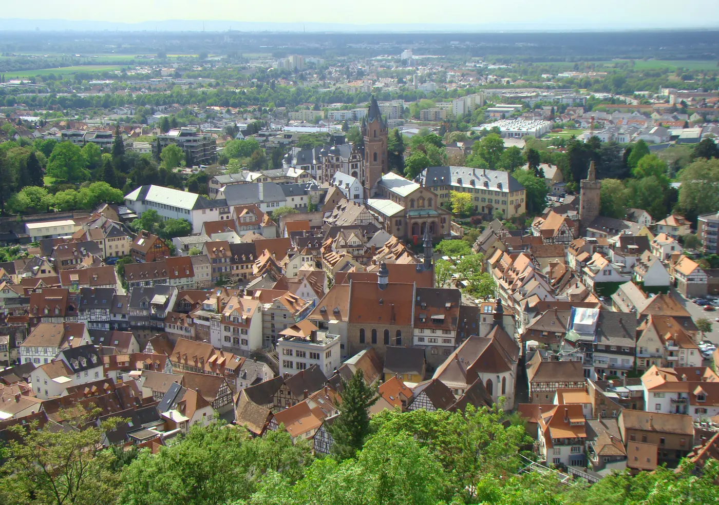 Blick über die Dächer der Weinheimer Altstadt
