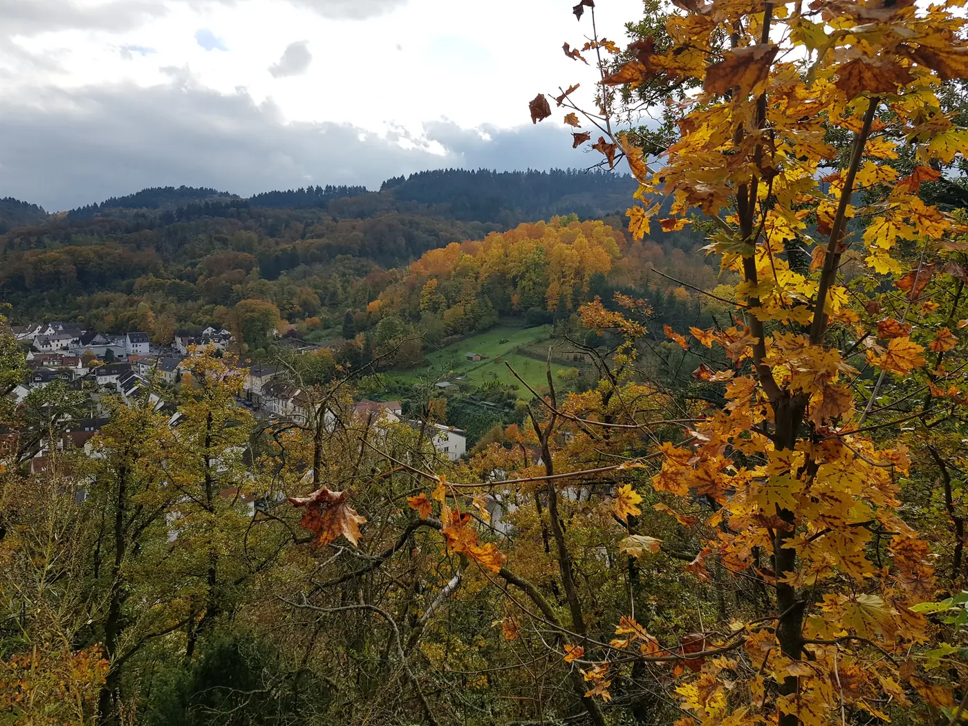 Herbstlich gefärbte Bäume über Weinheim an der Bergstraße